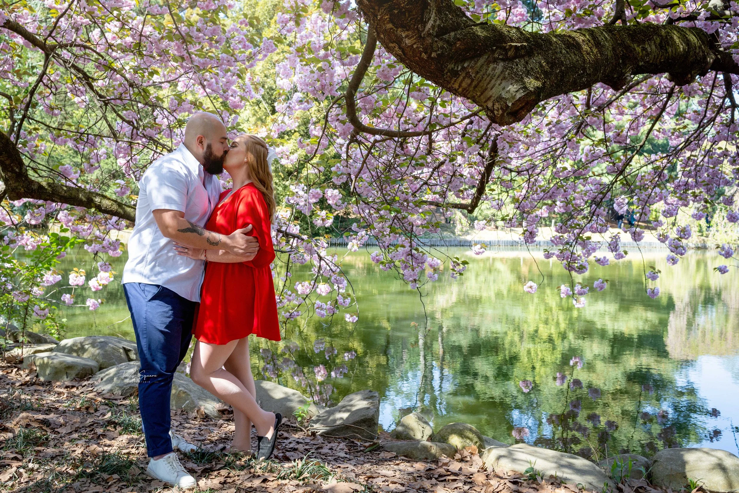 Couple posing under cherry blossoms during a spring engagement photoshoot in Central Park, New York City.