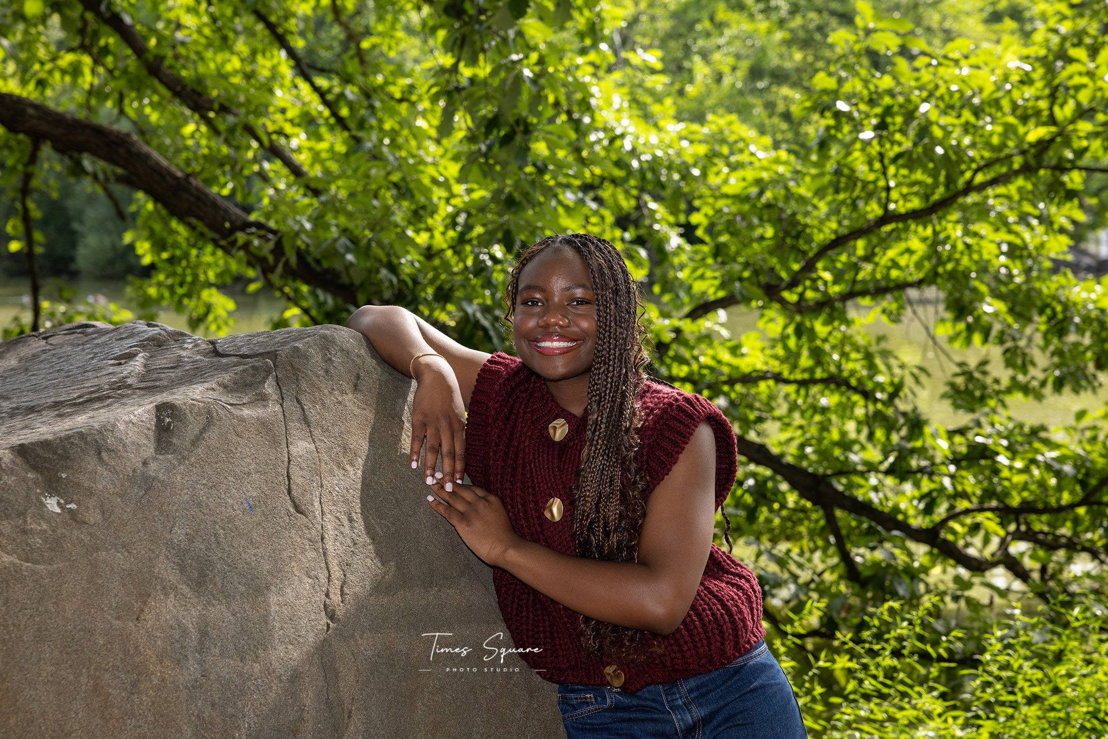 Beautiful Central Park NYC landscape with trees