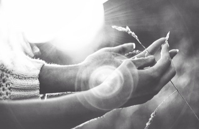 2015-10-31 14.22.14.jpg