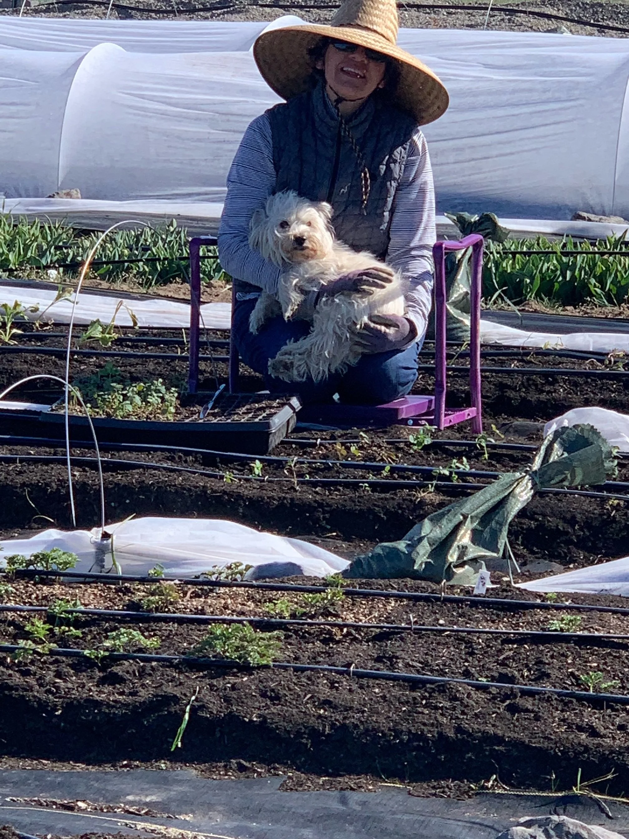 Garden Gift Guide: Must-Have Gear for Green Thumbs