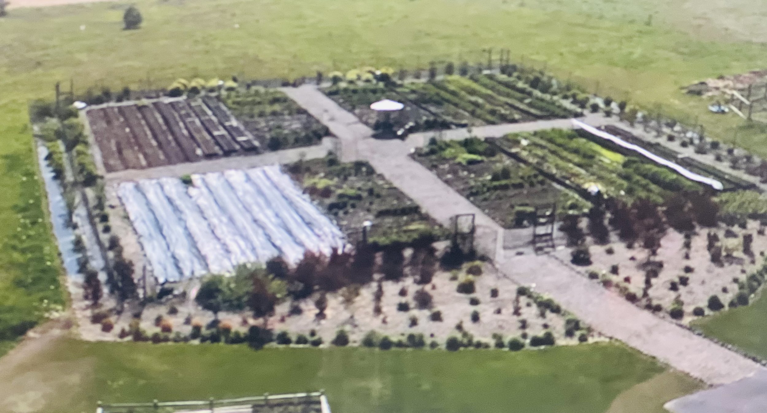 Aerial view of a plant nursery with organized rows of plants and pathways.