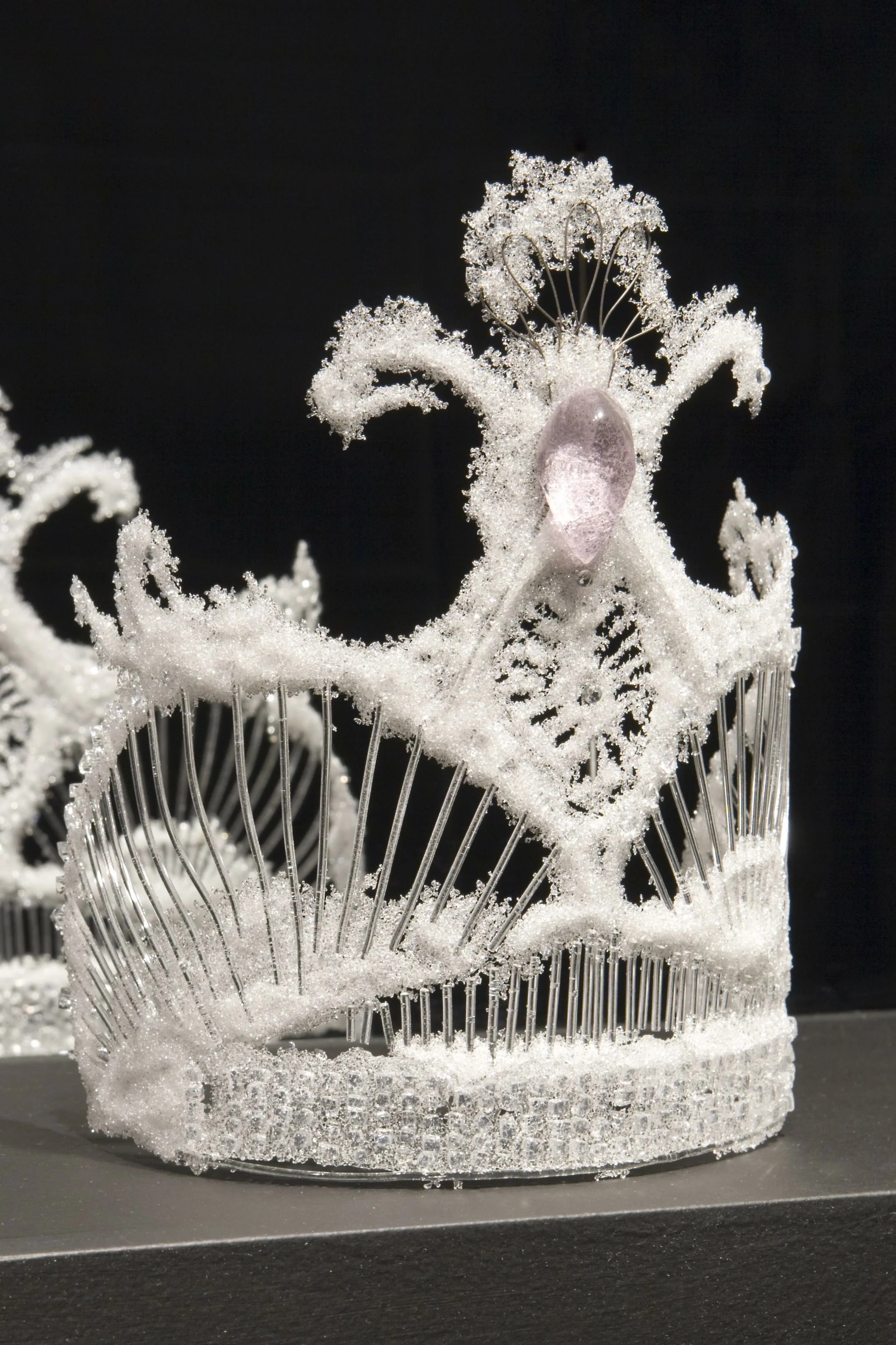 Pink Jewel Crown, 2011 Photo Credit 