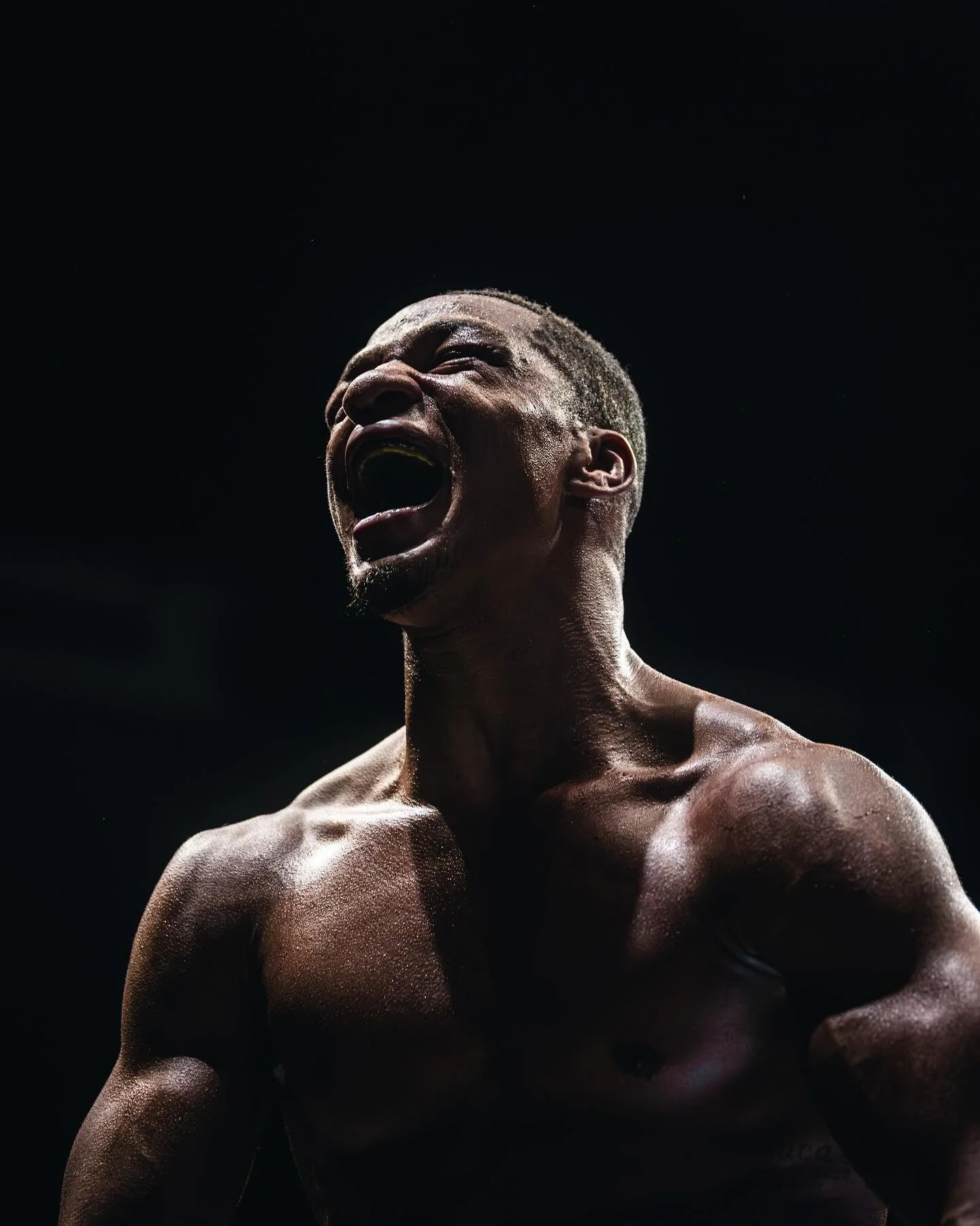 United Promotions December 12, 2024 @greatcanadiancasino 

@iboboxingofficial 
🥊 @uismalima 
Promoter @unitedpromotions 
📸 @reeldemons @byschofield
#reeldemons #actionsportsphotography #boxingphotography #boxing #ringsidephotographer #boxingontario