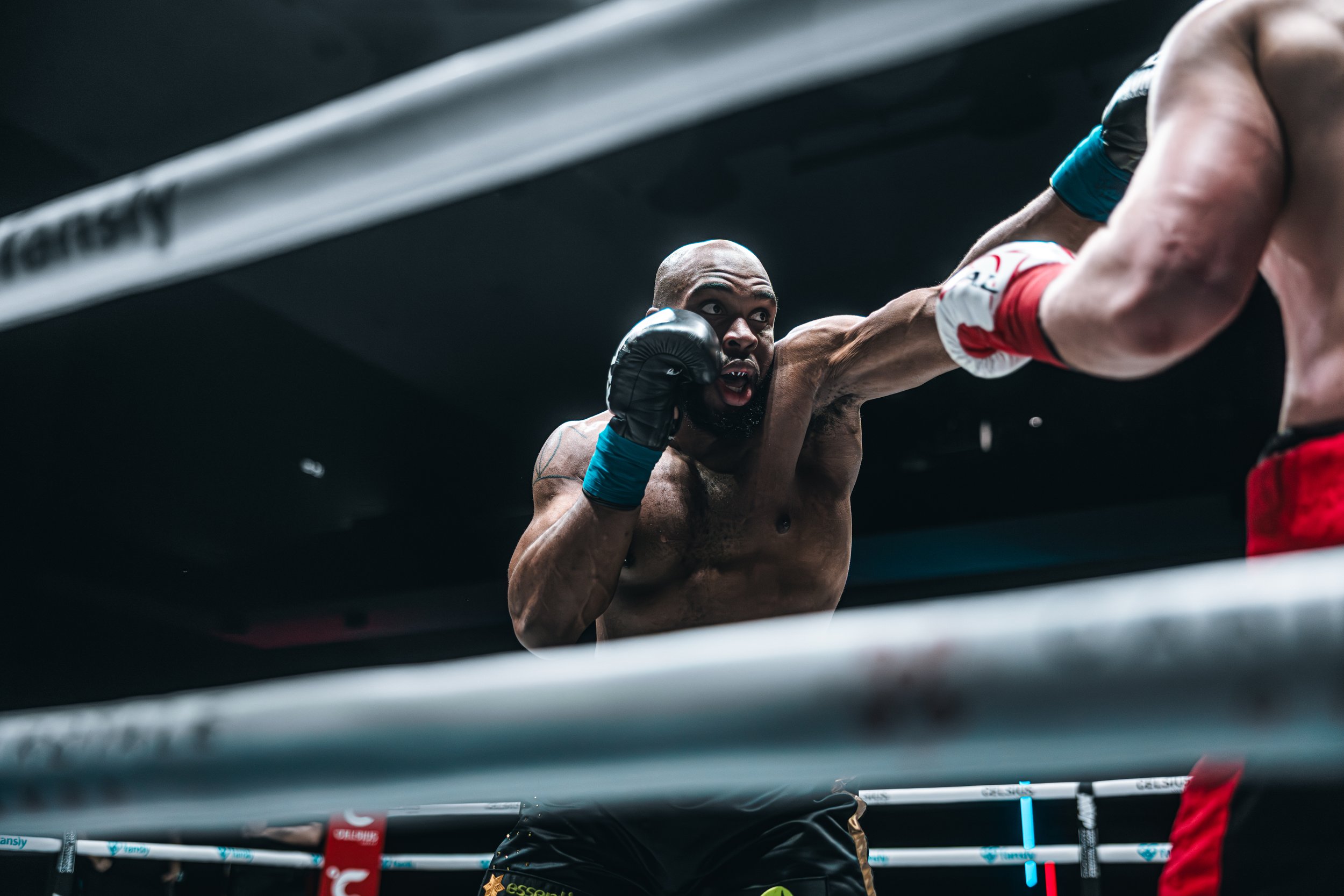Foreman vs Ourednk SM-106.jpg