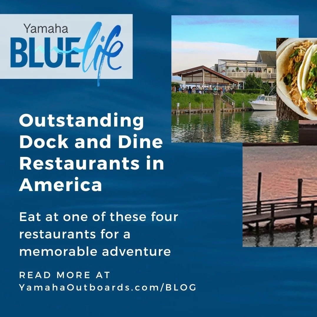 Blue Life Dock Dine 1.jpeg