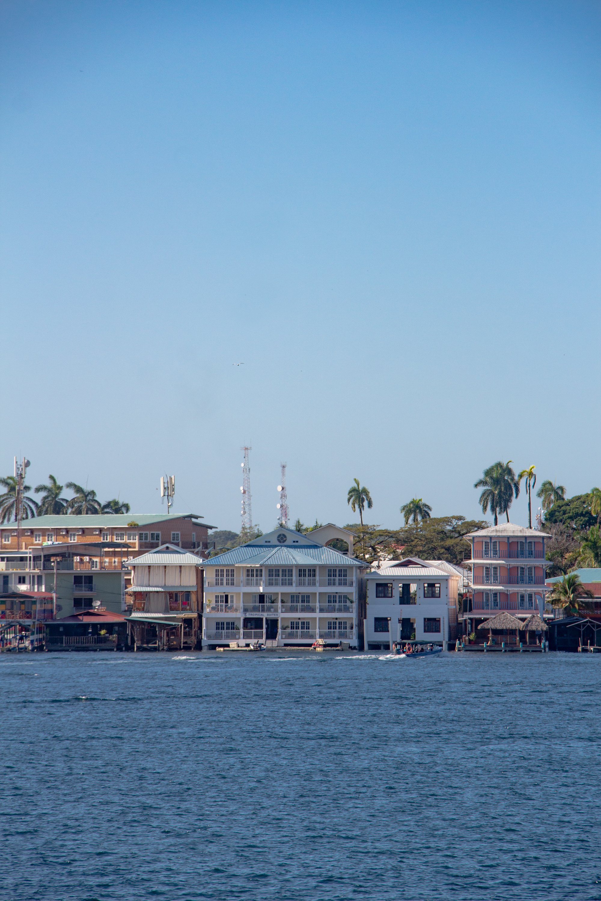 IMG_8750.jpg