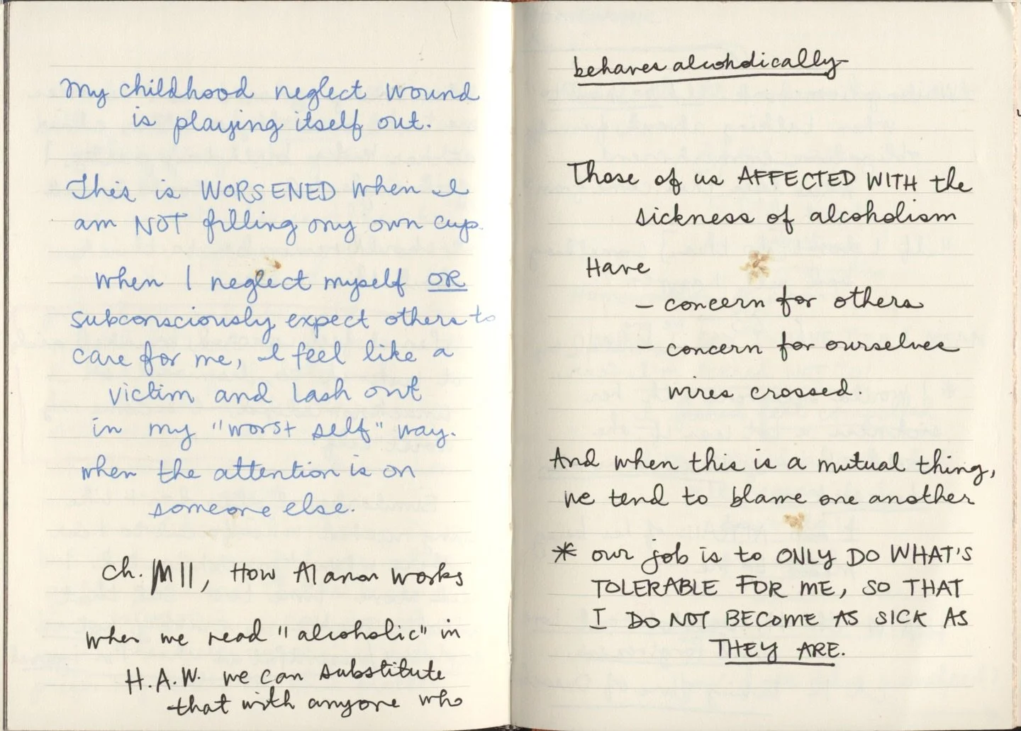 A strangers diary&hellip;.but they&rsquo;re not really strangers at all&hellip; because what Girls, Together has shown me is that although diary writing feels like a solitary act, it&rsquo;s one that we have all shared. Across time and space we all t