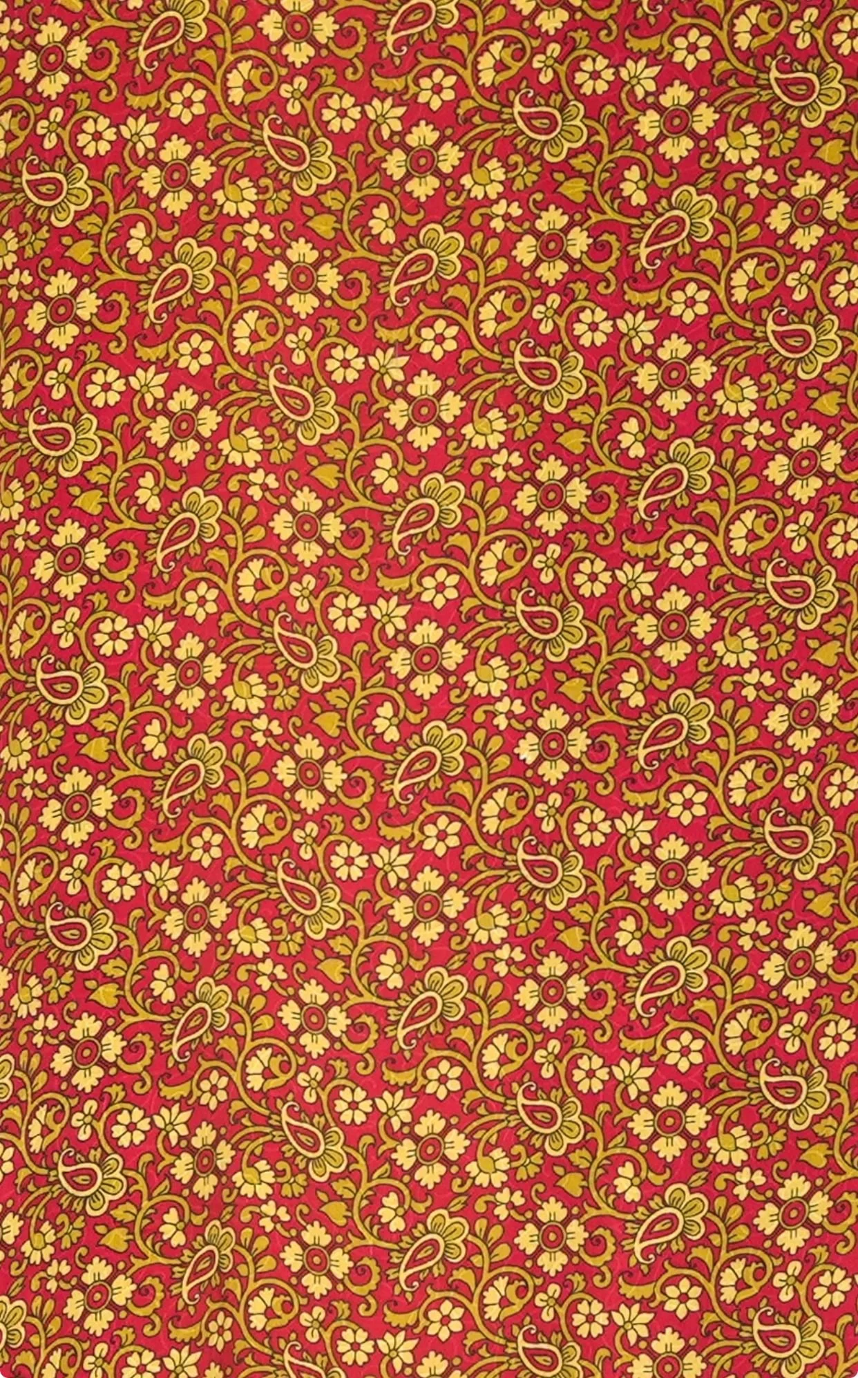 WhatsApp Image 2025-12-01 at 19.40.11 (3).jpeg