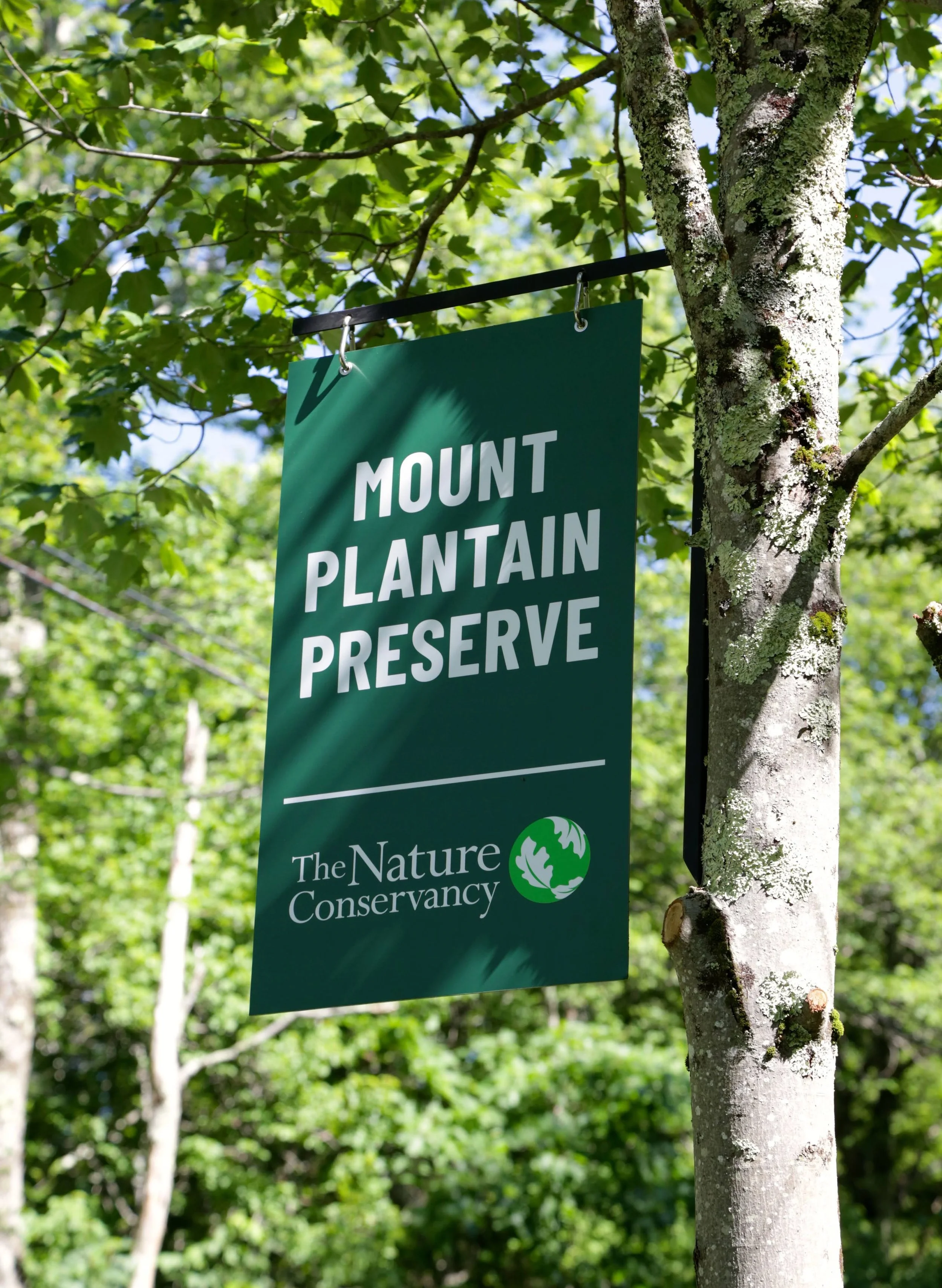 The Nature Conservancy