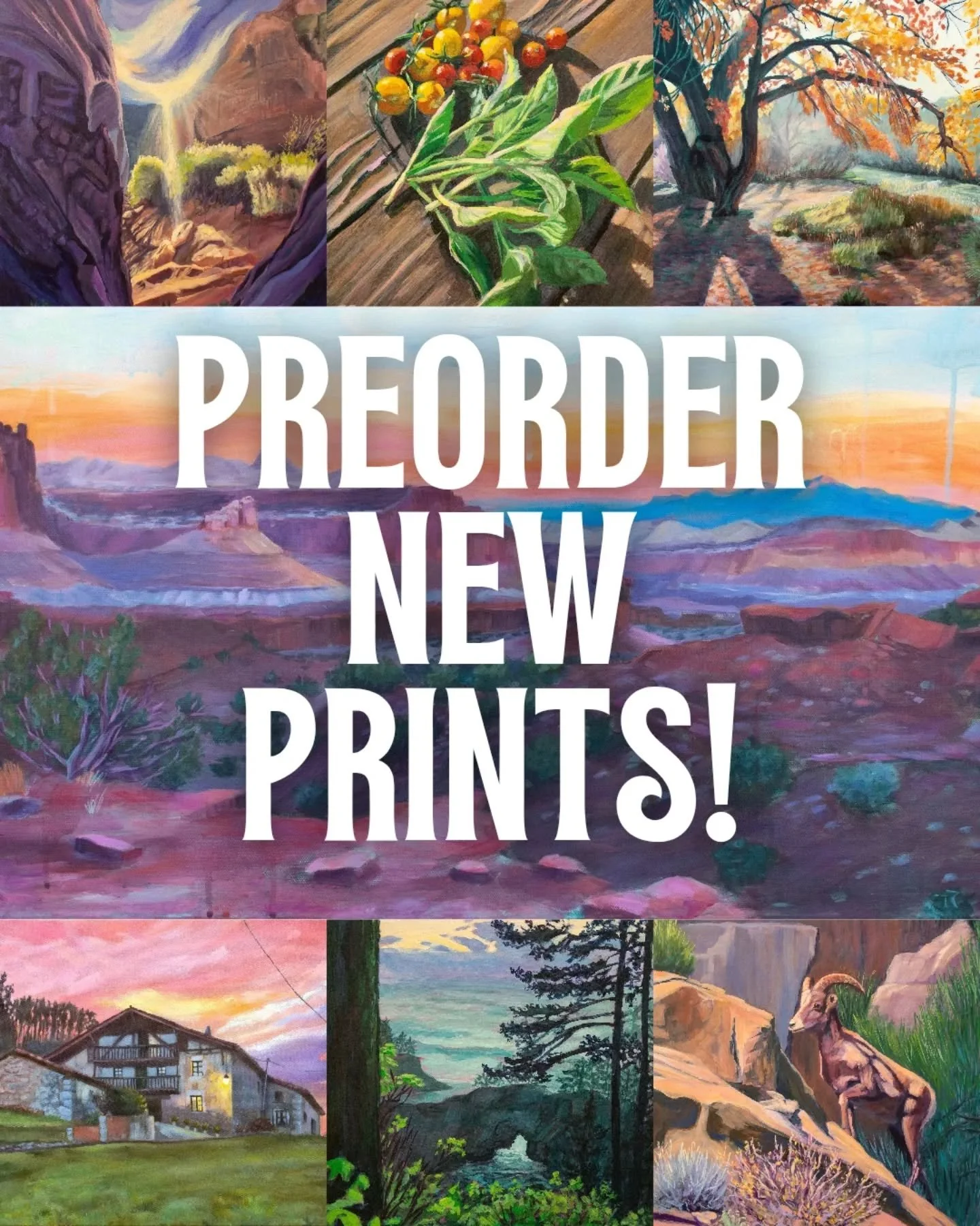I have 7 new prints now available to preorder! If you'd like any of these, head to my online store ( Link in bio) to pick your favorites! Prices include shipping within the U.S. 

#utahartist #localutah #localartist #utahart #slcartist