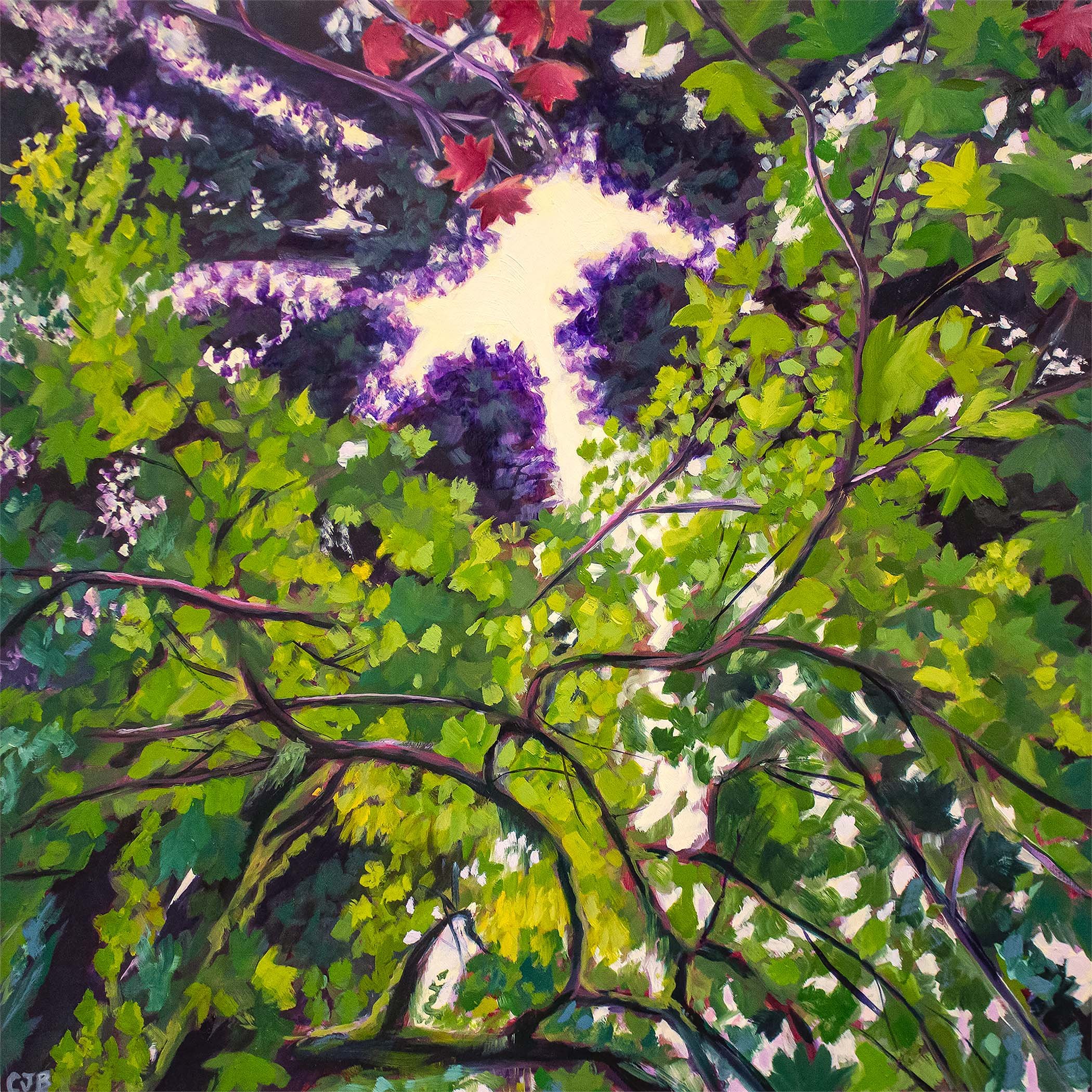 Through the Canopy - 12" x 12" Oil Painting on Cradled wood panel - Available
