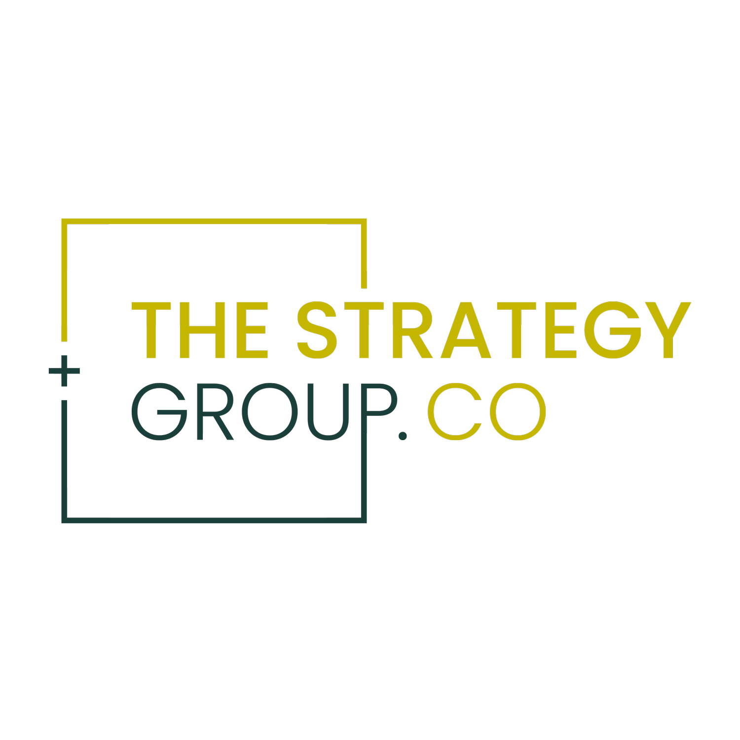 The Strategy Group. Co LLC