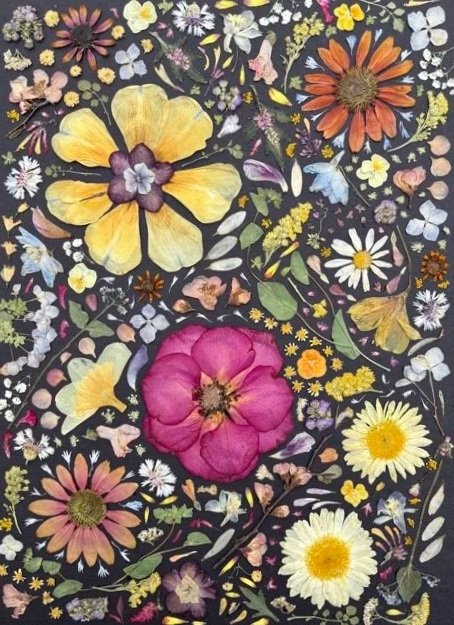 A collage of colorful pressed flowers in shades of yellow, pink, and blue on a black background.