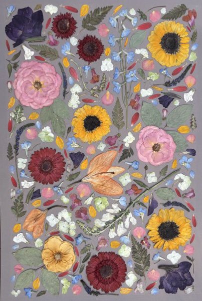 A collage of colorful pressed flowers on a dove gray background