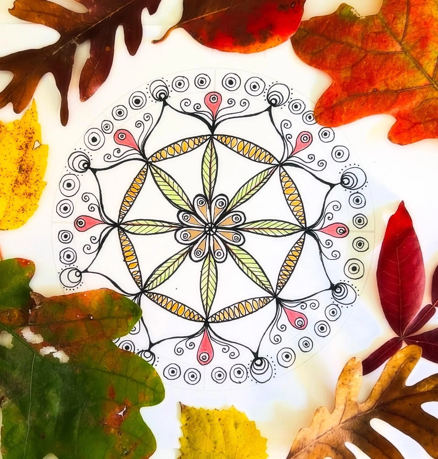 🤎Guiding others in creative practices that bring about a sense of calm and connection makes my heart so happy! 
Thanks again to Nalda 
@the.grief.hub 
For hosting 💕🙏🏻💕

I was so inspired by everyone that participated! 

#mandala #mandala_art #cr