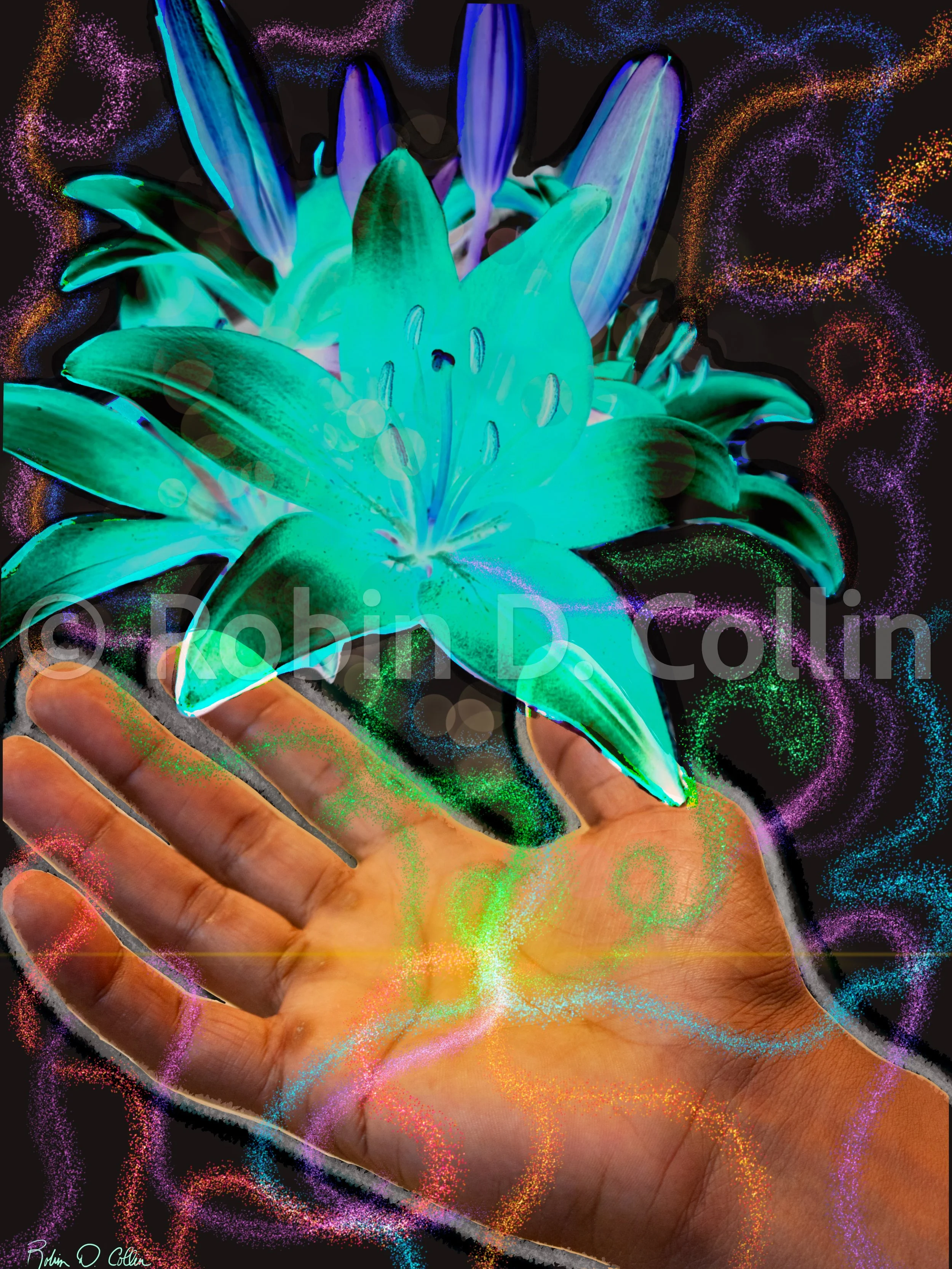 The Beauty of his Hands