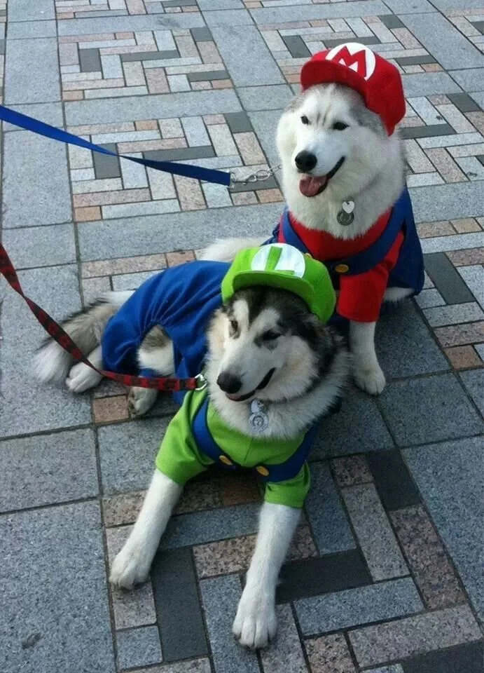 Mario Brothers