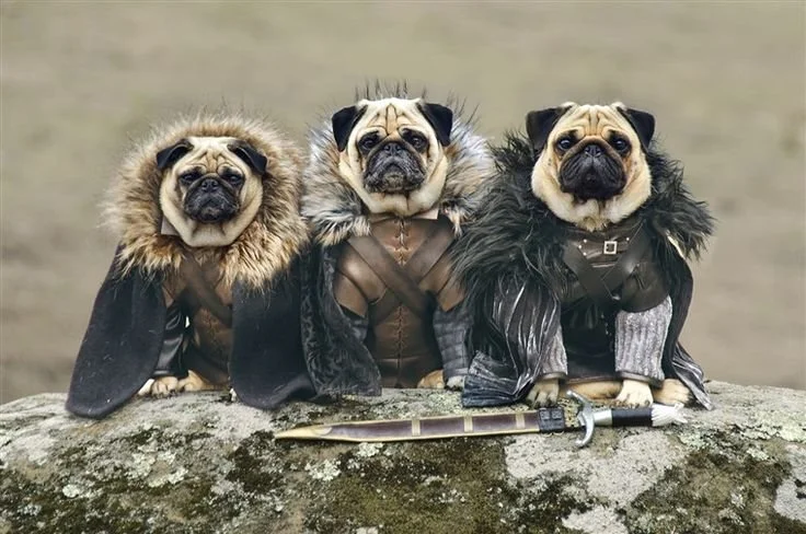 Game of Thrones
