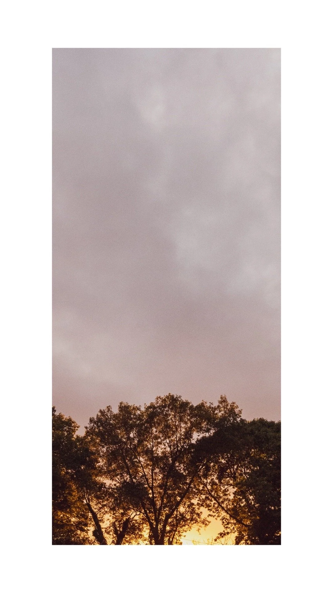 page0 4.JPG