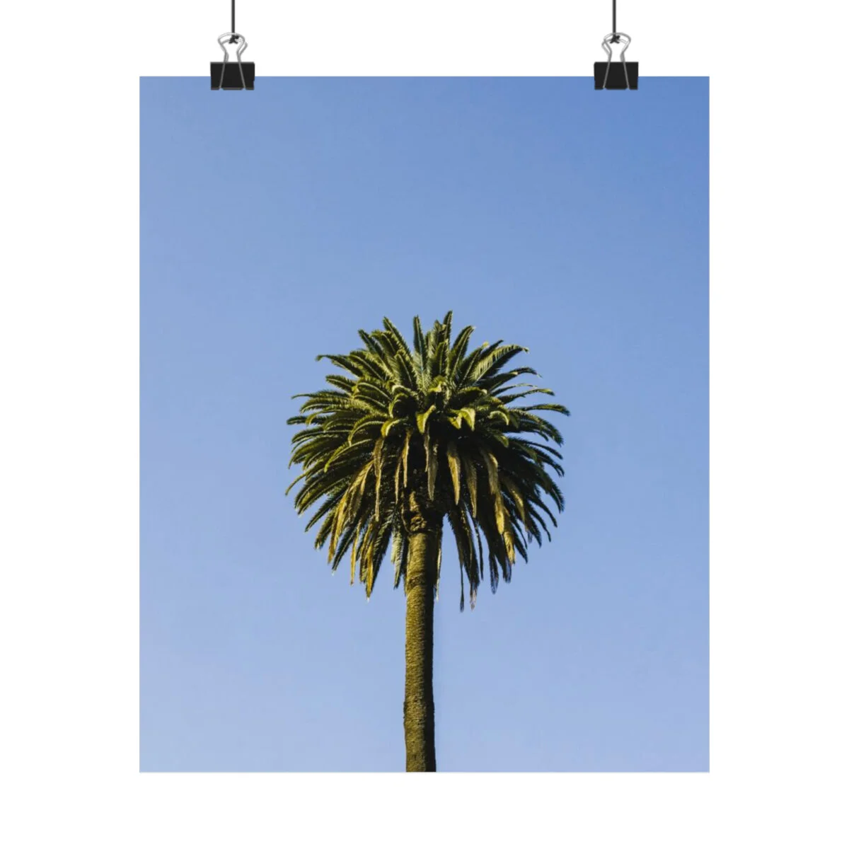 fdc76872116a49fbebd1775b9ecded52