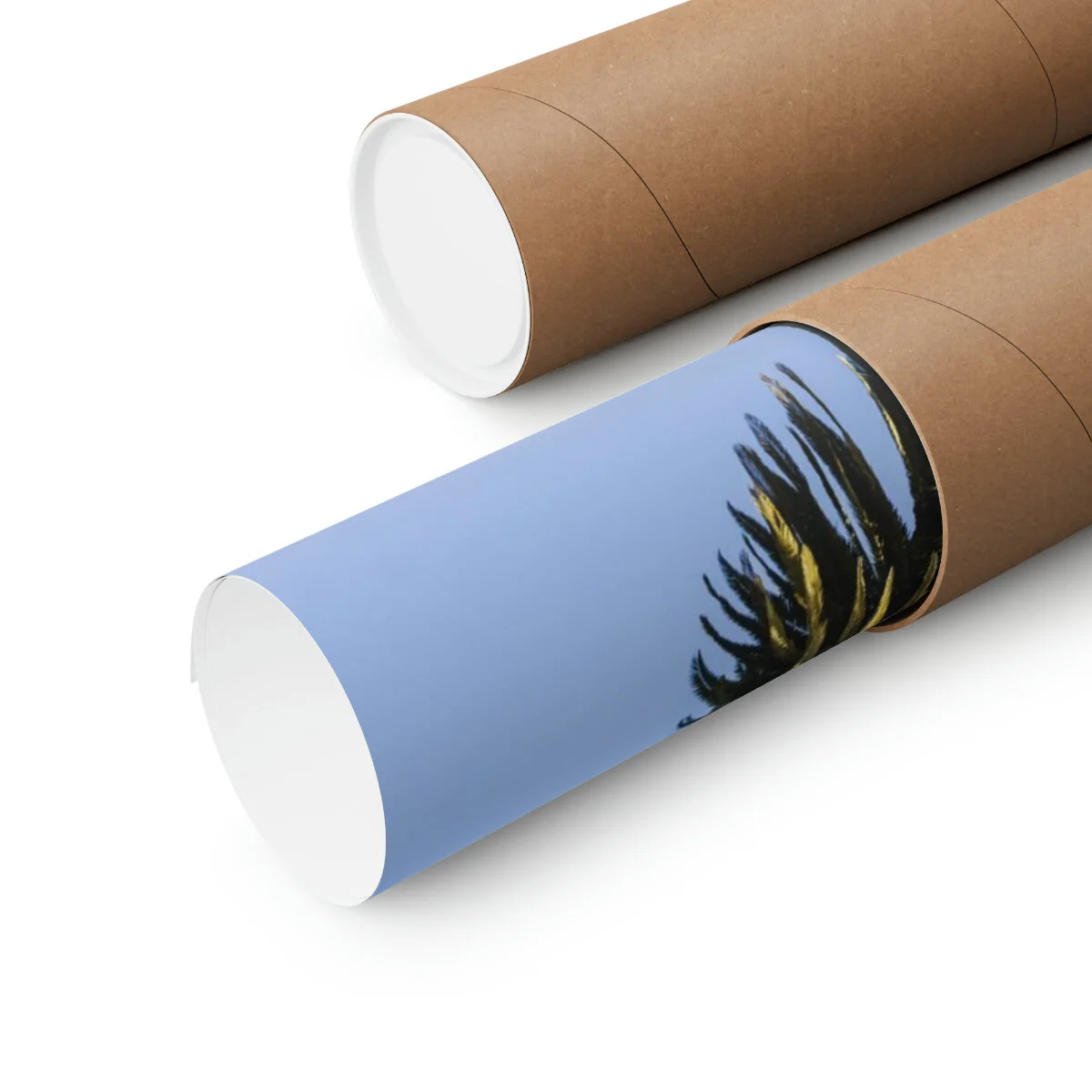 ba269f1f38d9a3f3e14766b498d6d427