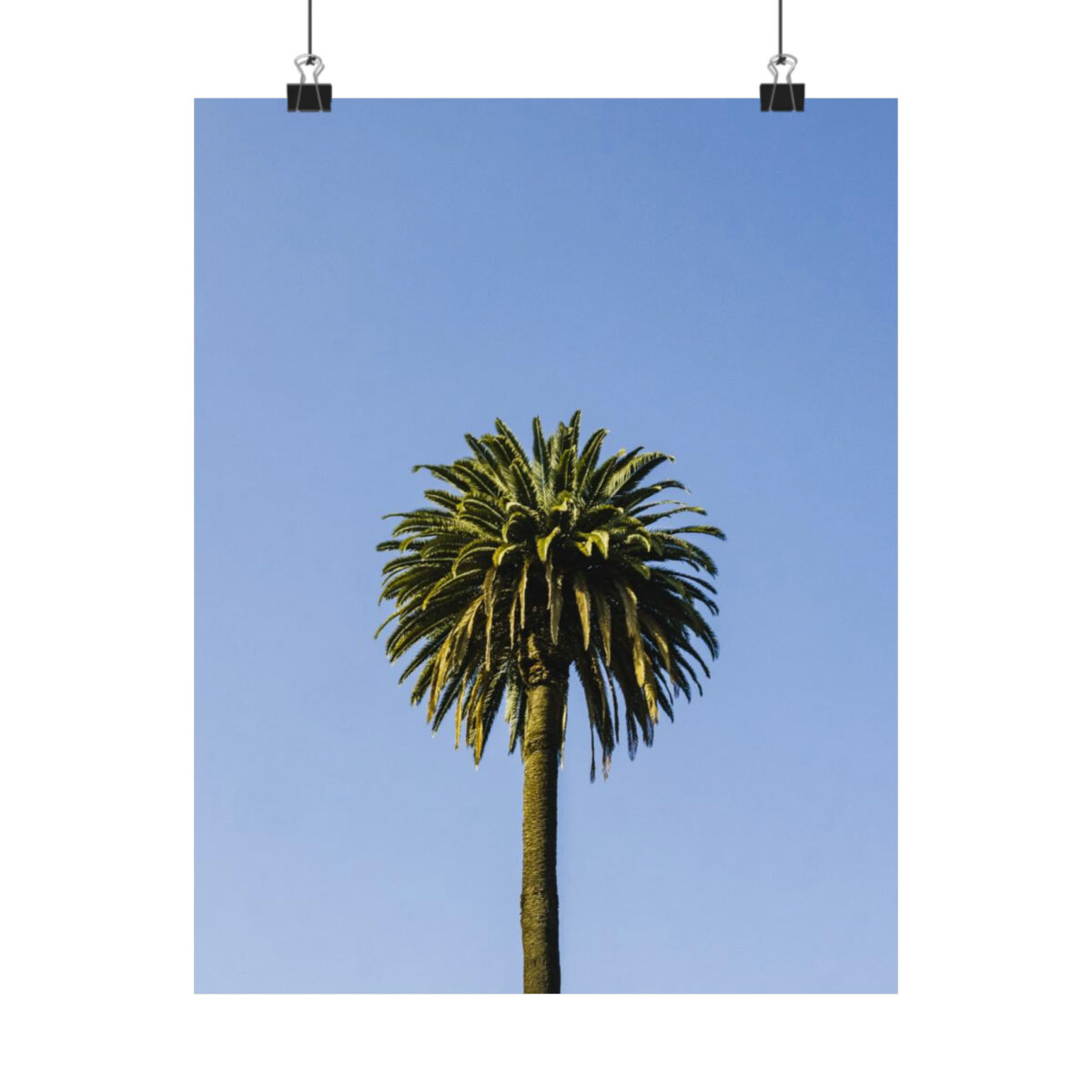 3a4b7922dc7443e134c2db3d0a61d402