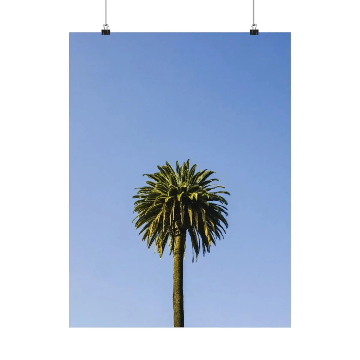 729a1386ca13a50279d9d270cf4eca65