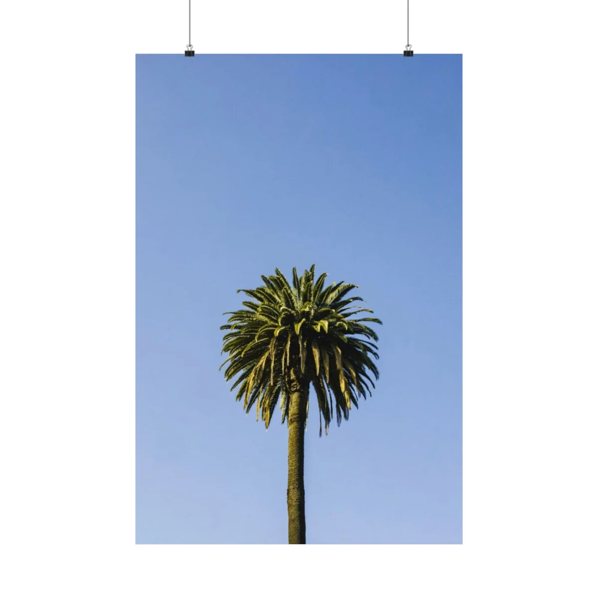 41c001cc4339bd366b5d613e459d7b2d