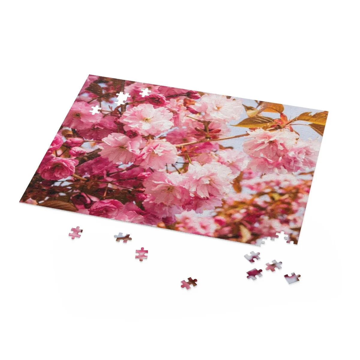 0d5fc1ff98f2981c8e835c08f210ccb7