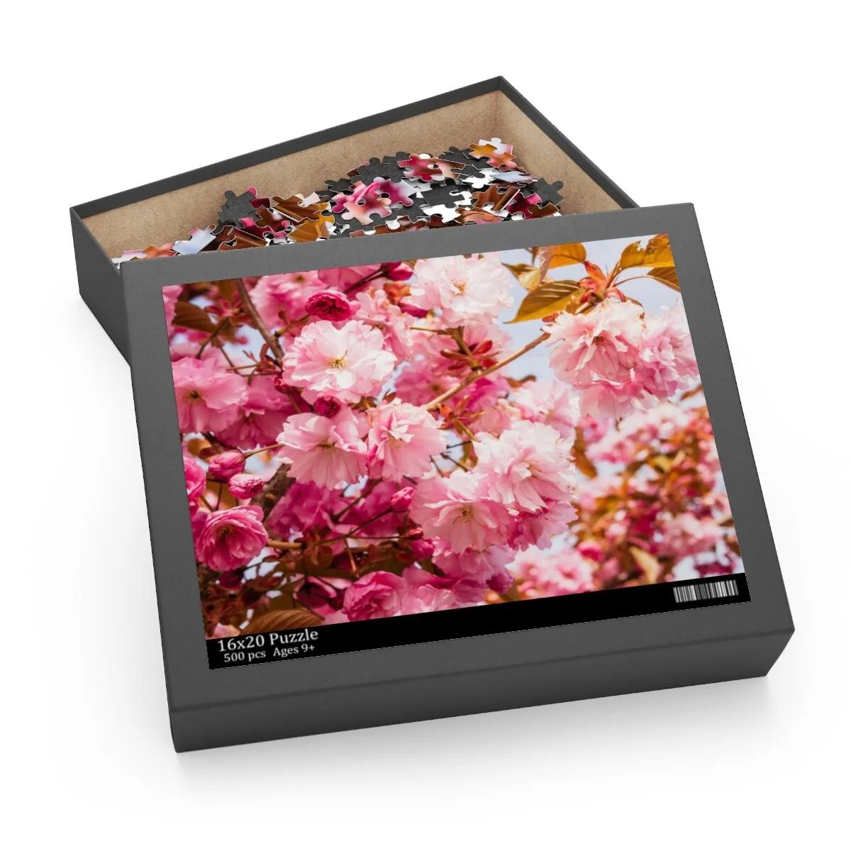 611ca3338642a54adb94416faa16d801