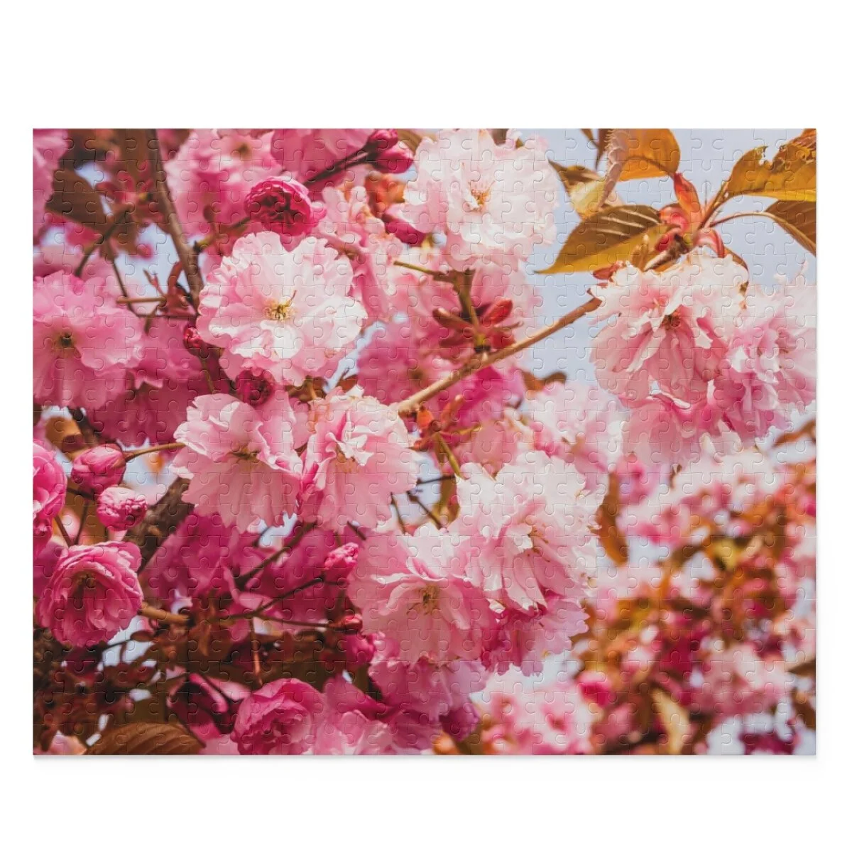 6480304217ffc34b9ea924324fb455e1