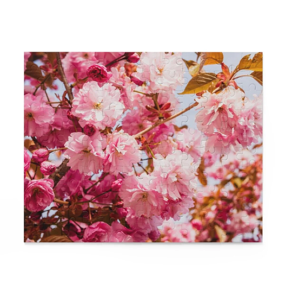 375d60fb1438b248b37f5dcedc9bf043