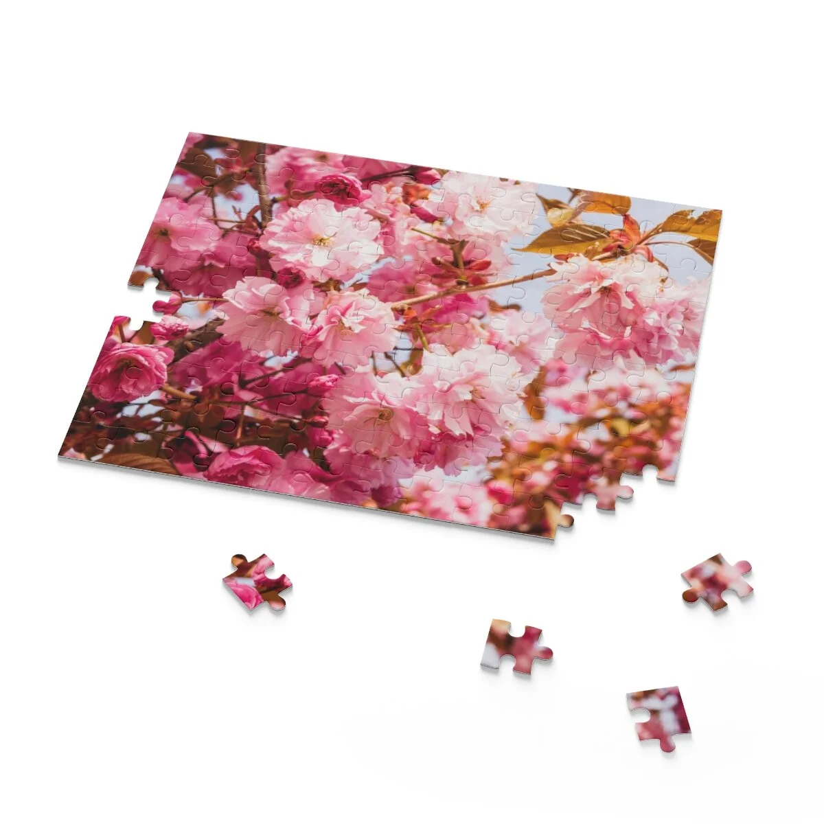 e322cdeb3c8580683a1a90d64e20b898