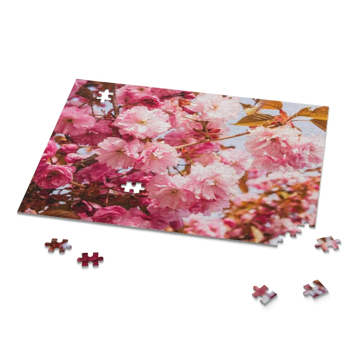 33215f22a73c2bfce2508009da6a82f0