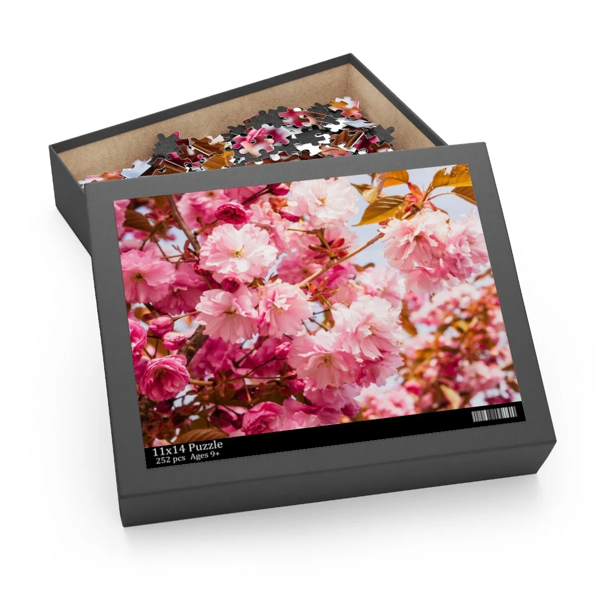 4b20ca6a9b8e0e95604ba299295a79a1