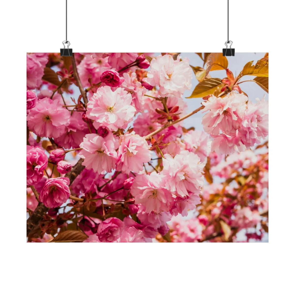 f5ac67bd36c543f33c2be450c88312b3