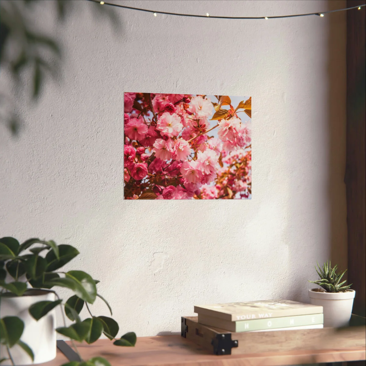 7052f671904acc8165936d7cf44bf3fe