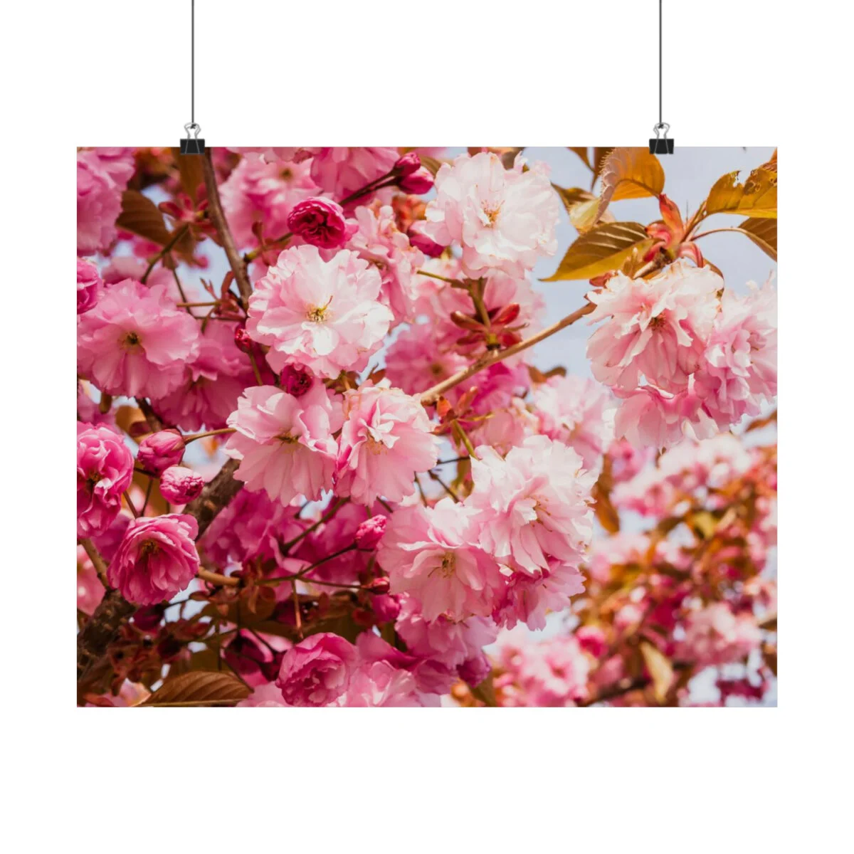 d7c25a041d3c137af7d094f2baa6d858