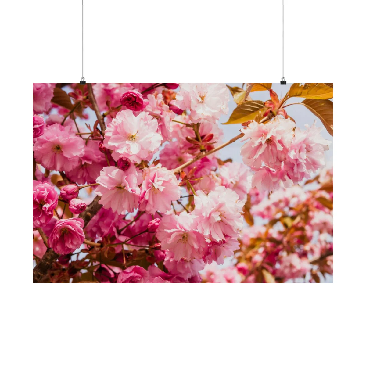 f1766c48b3e5059c1e03a443ffdb5f38