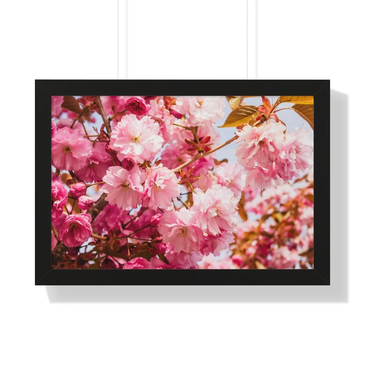 de23c666c4b14a1fe549c79837d73816