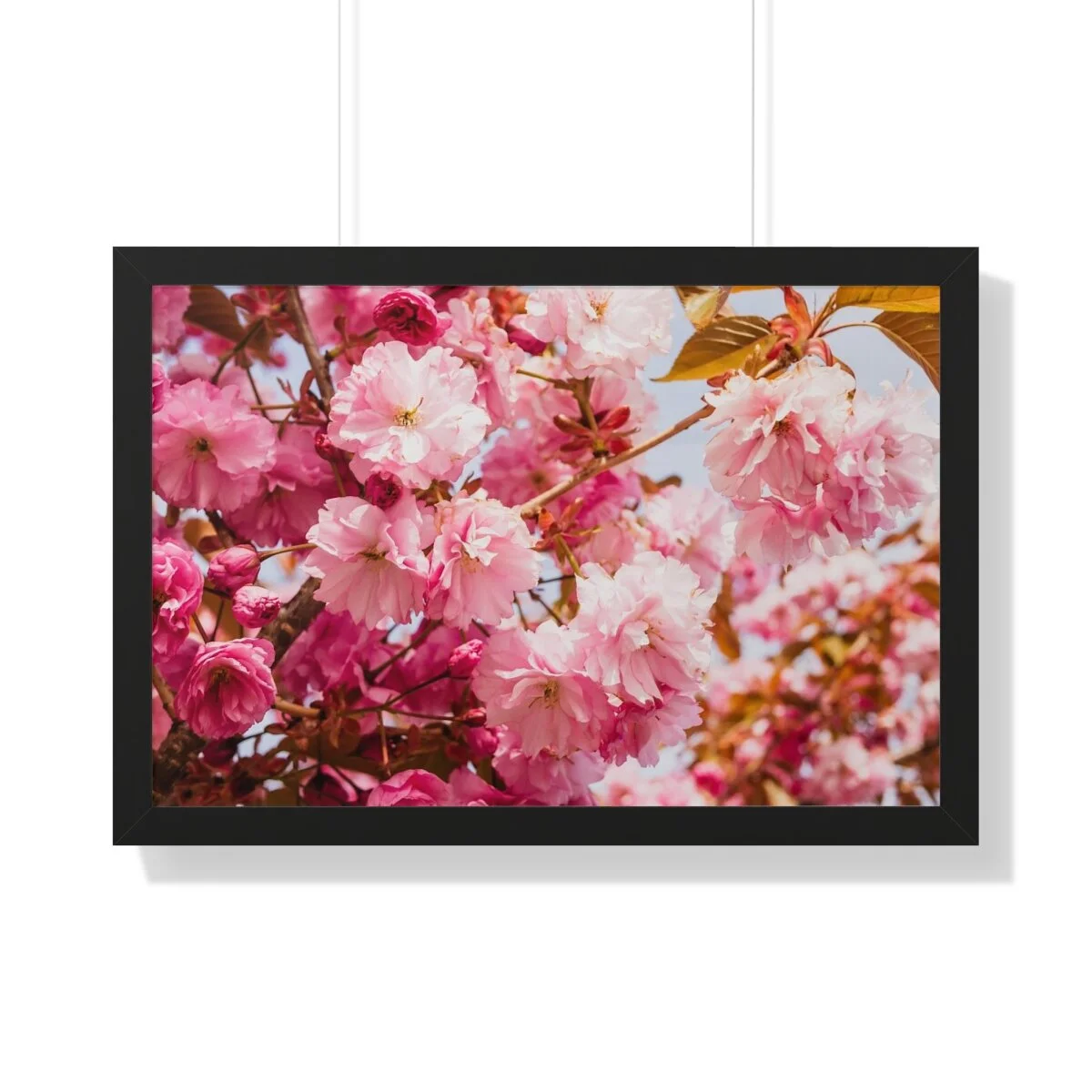 ec2e7c57c6c907d0a5f40825a1878ae7