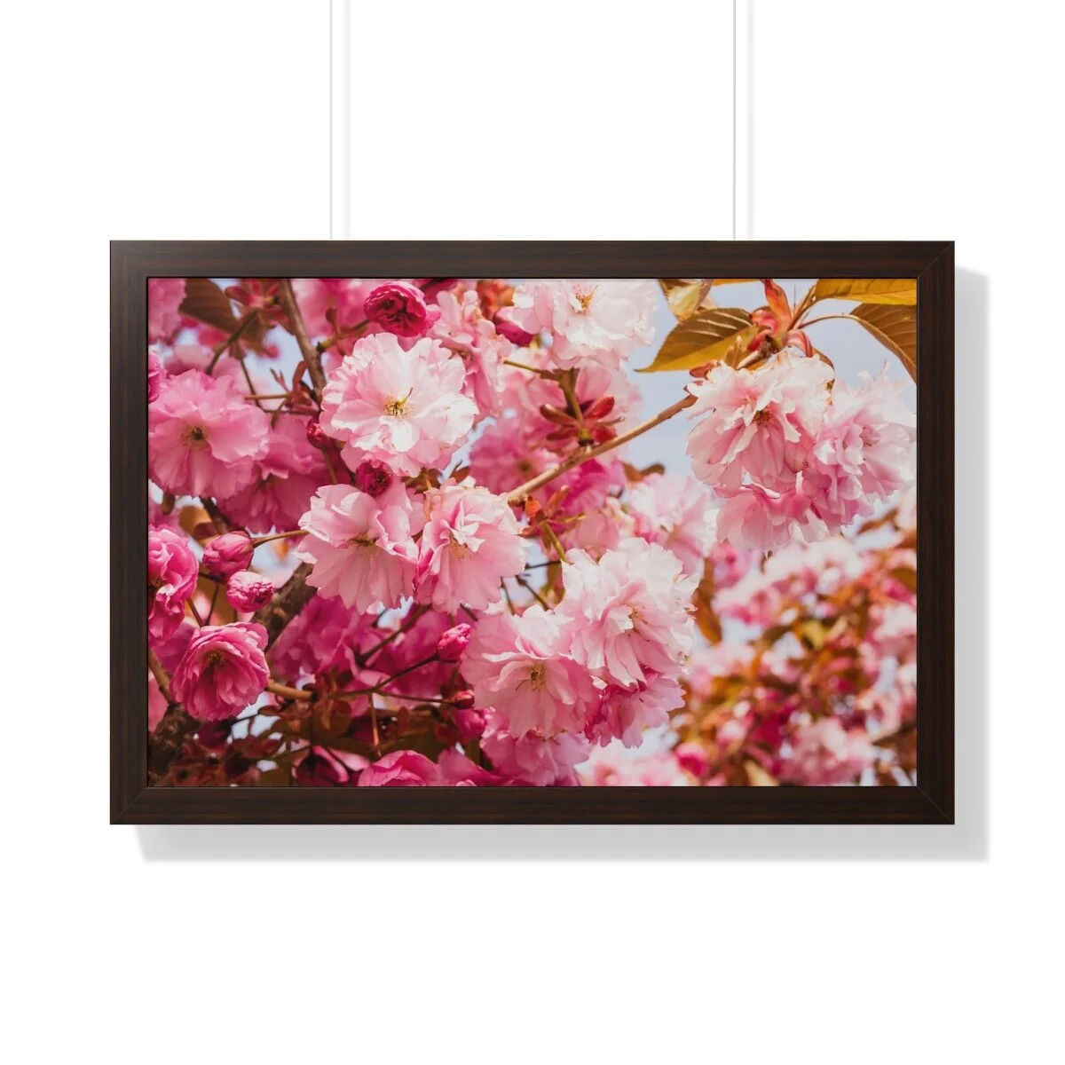 690a7df40711eb311d38908f62c1a9ca