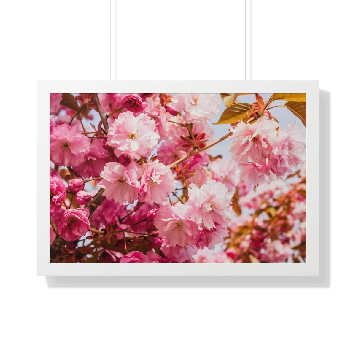 a2450ae0a18123463cfe7dbf9dee3a85