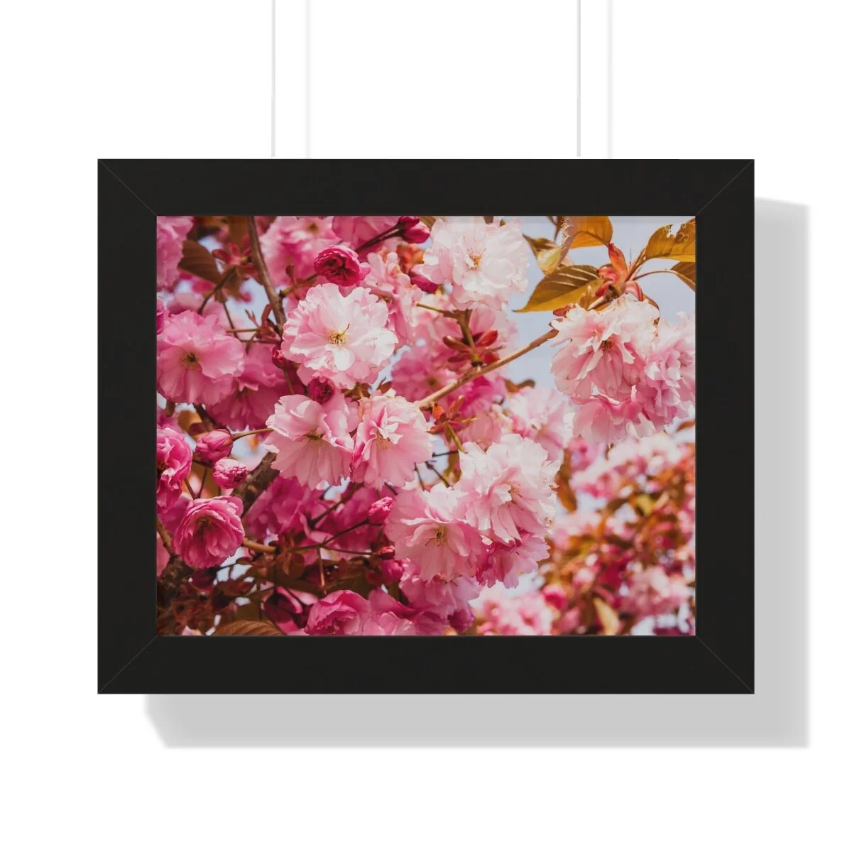 a94b7b074c7031d808ab0ed1ed439e12