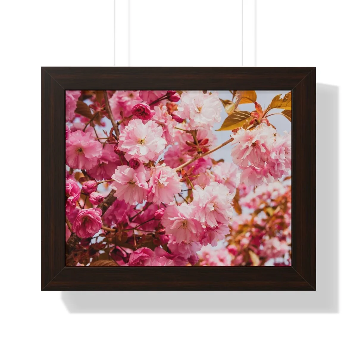 2a9f19fd75687ffc17e98b0ad29dba52