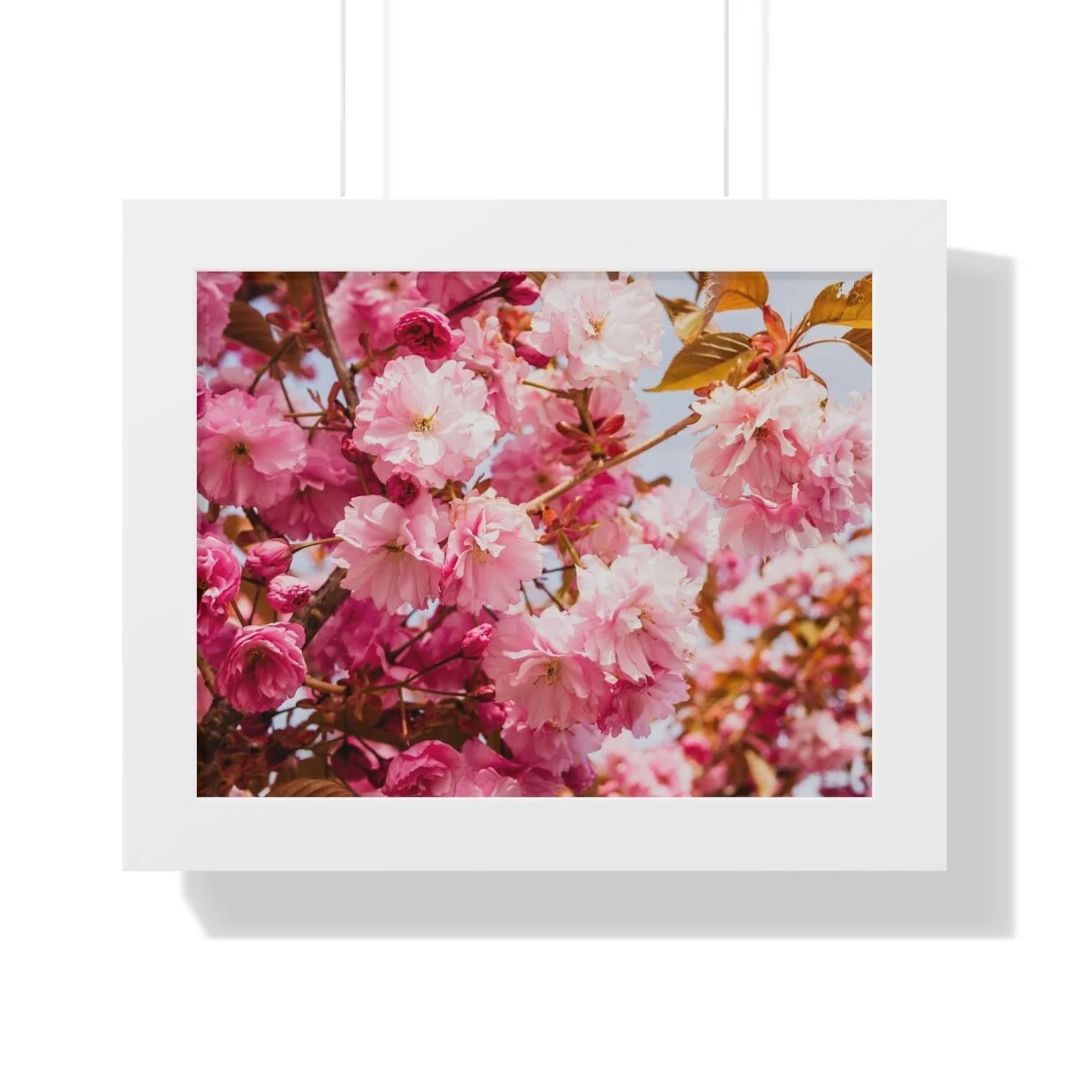 970de6d27d8d4941bb6abb5d69b51107