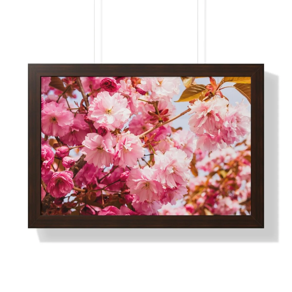 16bb32c6f006323e96def6b8a5b97252