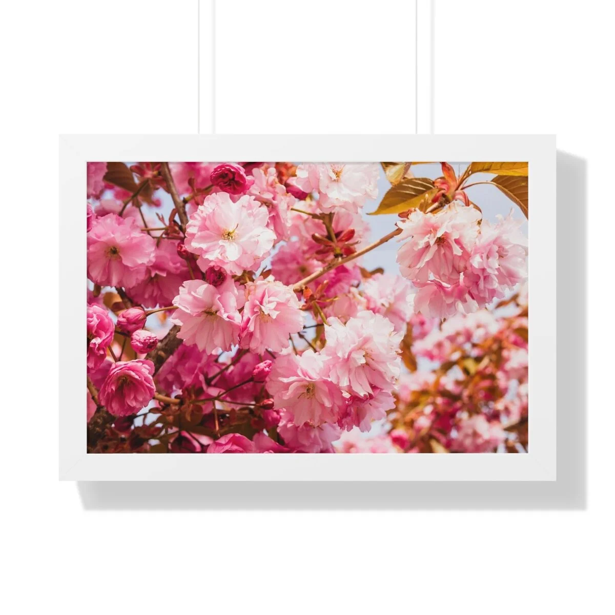 a3de1ee21bd7c09af5a95a0745b94788