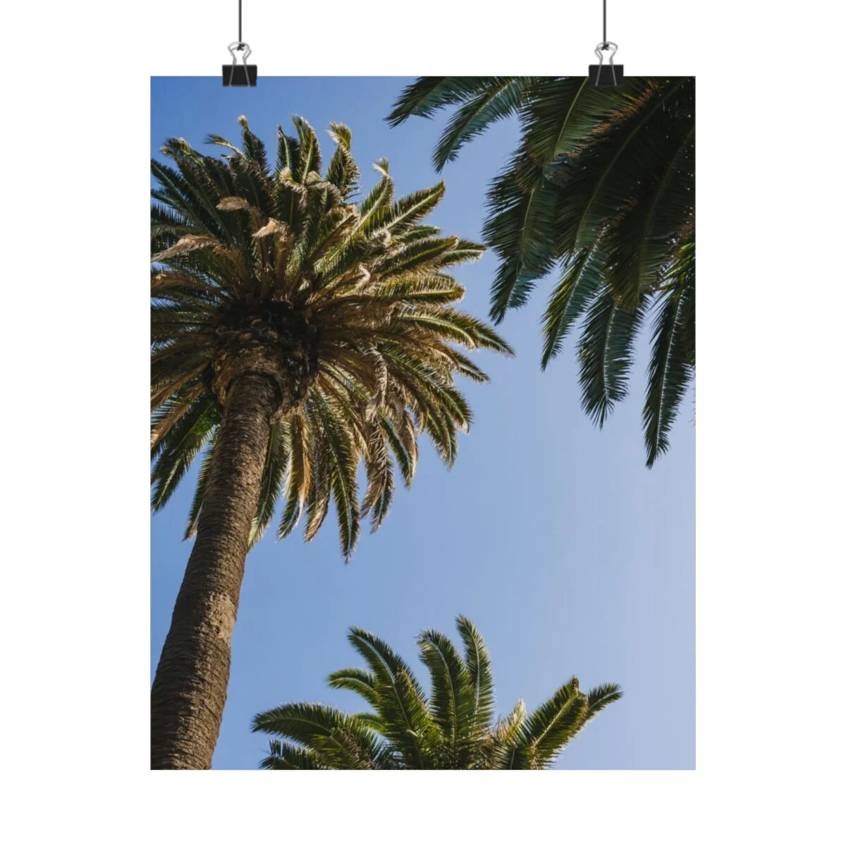 e473095a1a69703c7c315da8b8bdf61b