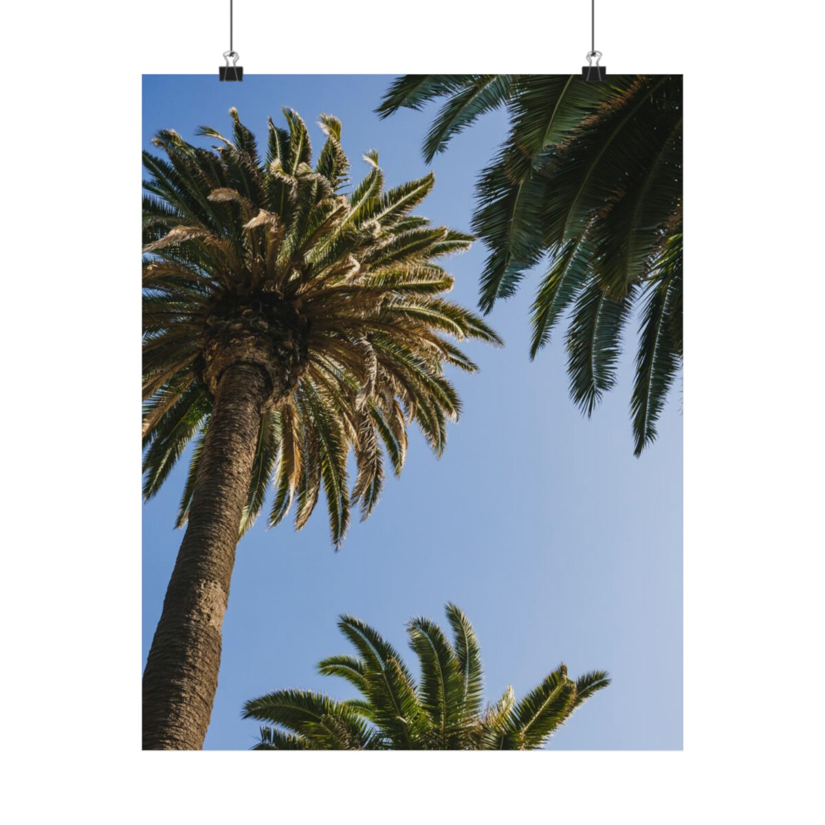 1a80bbd27b4a8a5b38036b4dba12d89f